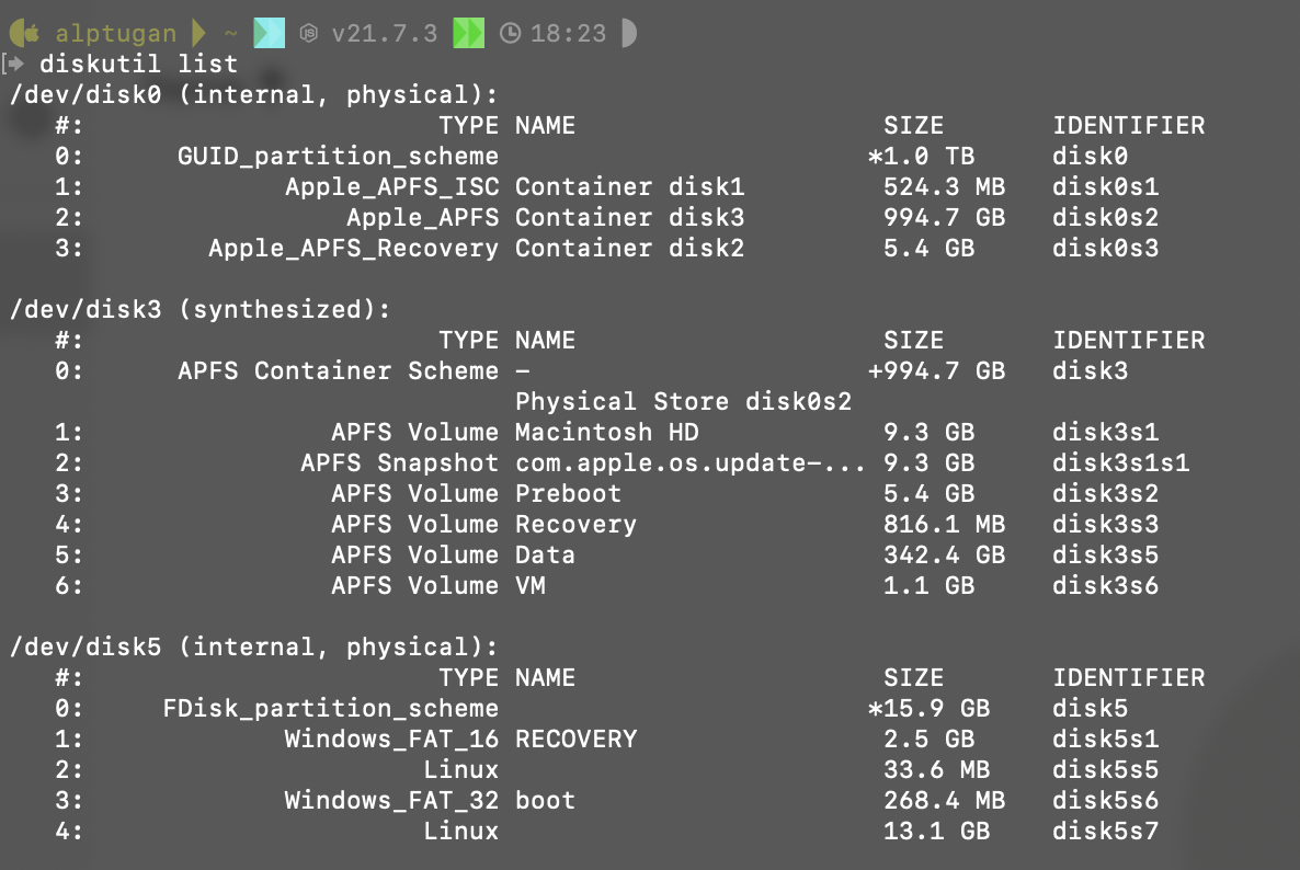 Output of diskutil list command.